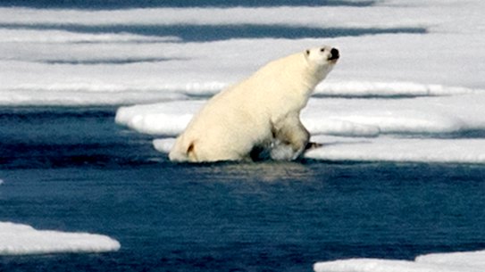 Warming 'like comet speeding to Earth', expert tells Perth audience