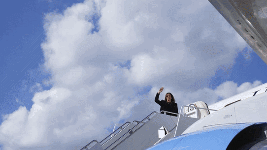 The US election is nearing its conclusion as Trump and Harris campaigns are both in damage control.