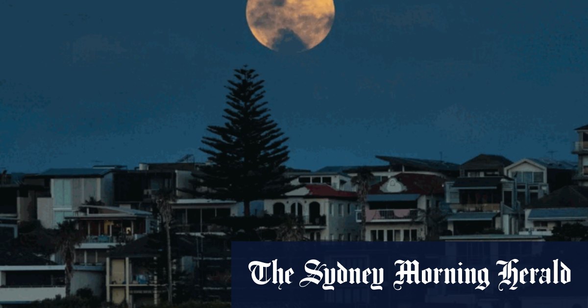 ‘Just spectacular’ Sydney’s sky gazers spellbound by last total lunar