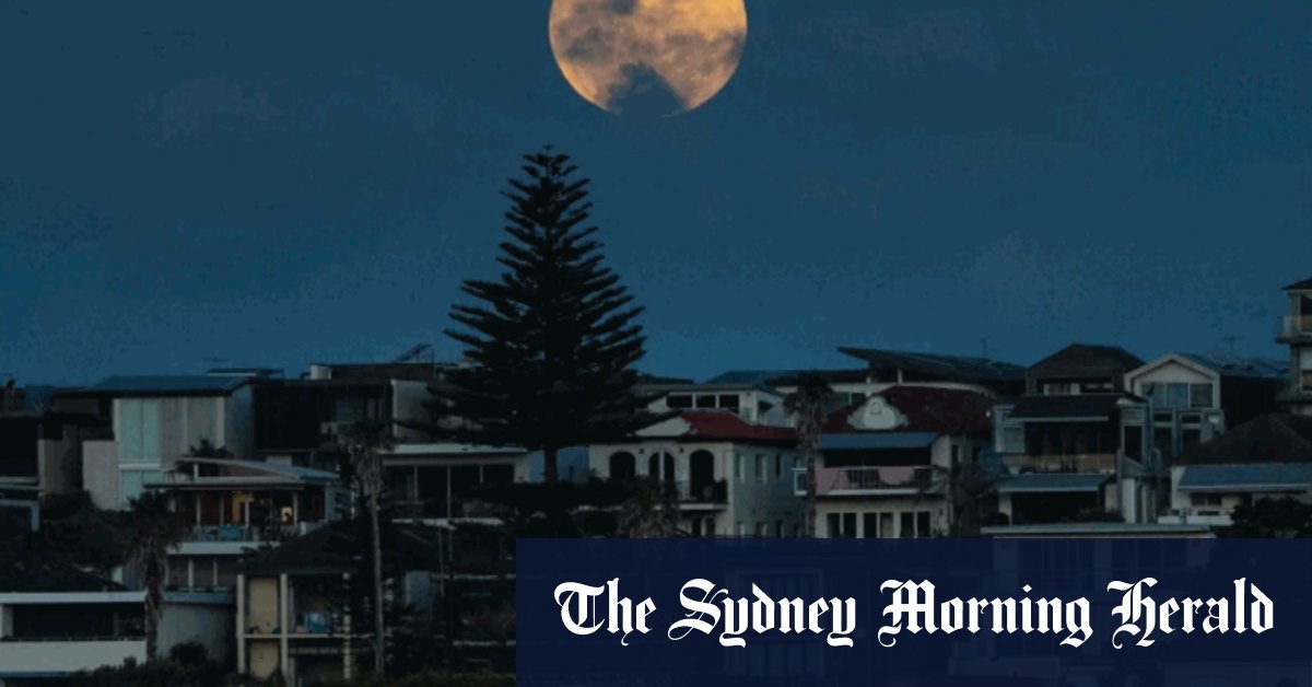 ‘Just spectacular’ Sydney’s sky gazers spellbound by last total lunar