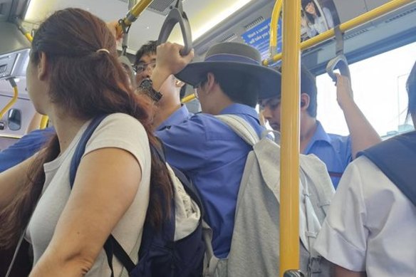 Despite reporting lower patronage than other free city loop services, West End resident Jan Wild said the service has seen good use from students and seniors alike.