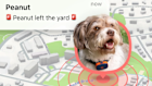 Life 360’s pet tracking device will notified users if their pet escapes.