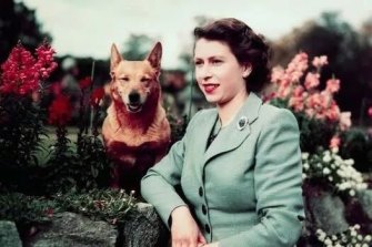 Queen Elizabeth with her corgi, Susan, in her first year on the throne in 1952. 