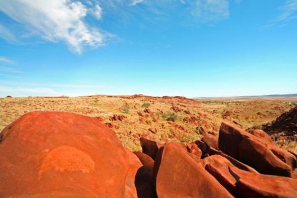 An echidna rock engraving in the Burrup.