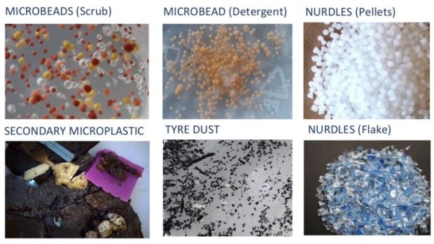 Just some of the microplastics that can be found in the world's oceans.