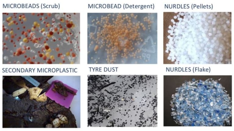 Just some of the microplastics that can be found in the world's oceans.