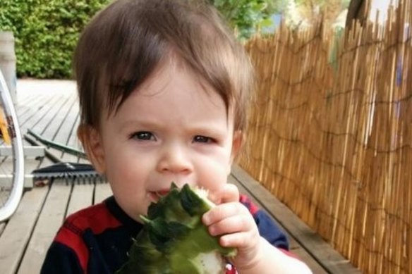 One-year-old Noah Zunde died after being left in the car by his mother, Romy Zunde, in 2015. She has not been charged over his death.