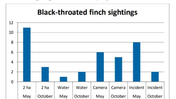 Figures showing the break-down of black-throat finch findings in the Carmichael Mine site area in 2014.