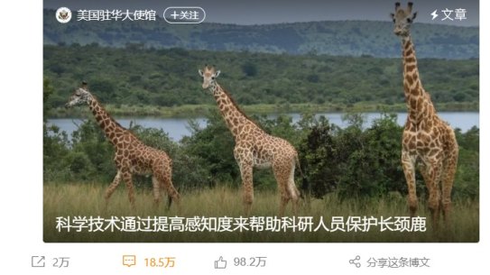 Chinese investors have aired their frustrations about their homeland on an innocuous post about giraffe conservation on the official Weibo social media account of the US Embassy in China.
