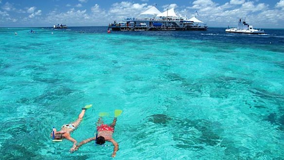 Many tourism operators from the Whitsundays to Cairns have been severely impacted by a plunge in visitor numbers.