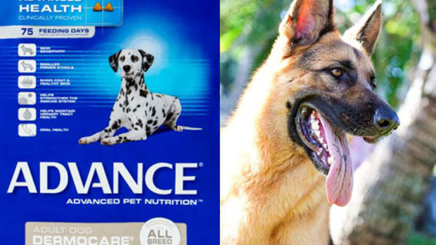 Advance Dermocare pet food has been linked to an outburst of cases of a rare condition in dogs.