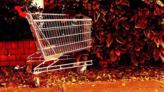 Abandoned shopping trolleys.