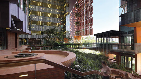 Brisbane’s Translational Research Institute.