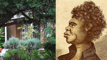 An obscured detail of the front garden of the home in Putney where Bennelong's grave has been found (left); and an illustration of Bennelong.