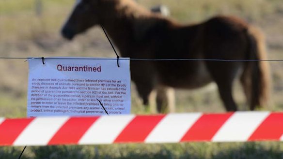 The Hendra virus can be found in horses, but there is a vaccine.