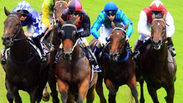 Racing returns to Albury today with a strong eight-race card.