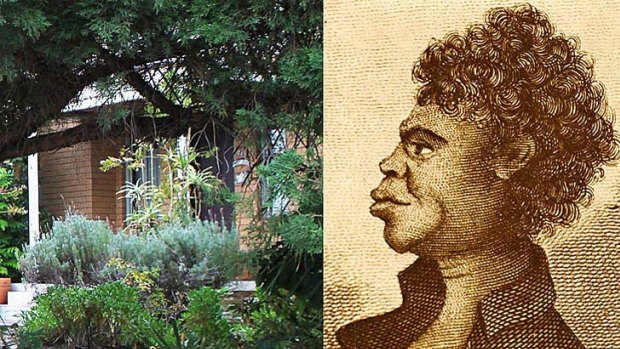 An obscured detail of the front garden of the home in Putney where Bennelong's grave has been found (left); and an illustration of Bennelong.