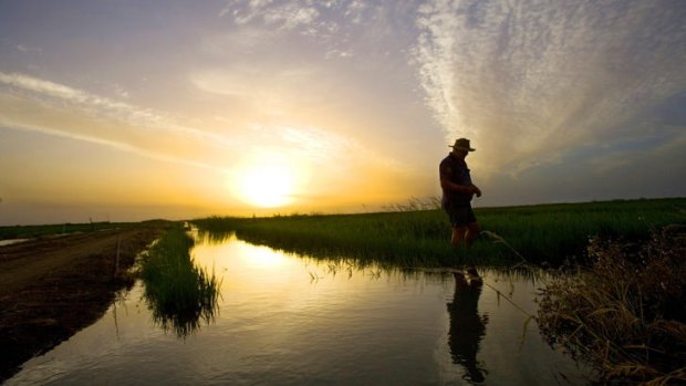 A South Australian royal commission has found federal officials acted negligently in relation to the Murray Darling Basin Plan.