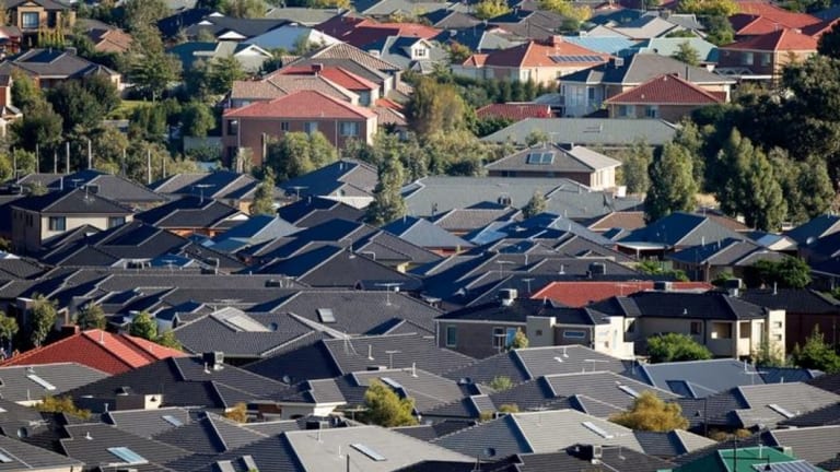 Farming and the spread of suburbia has made the grasslands on which Melbourne is built among the most endangered ecosystems in Australia. 