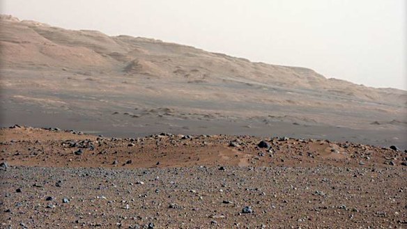 The surface of Mars is rich in sulfides, which are a major building block of stromatolites.