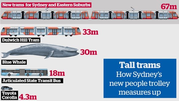 How Sydney's carriages measure up.  Graphic: Remi Bianchi