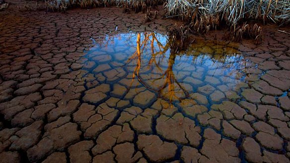 Sydney might not have enough water in the coming years as it battles climate change and population growth.