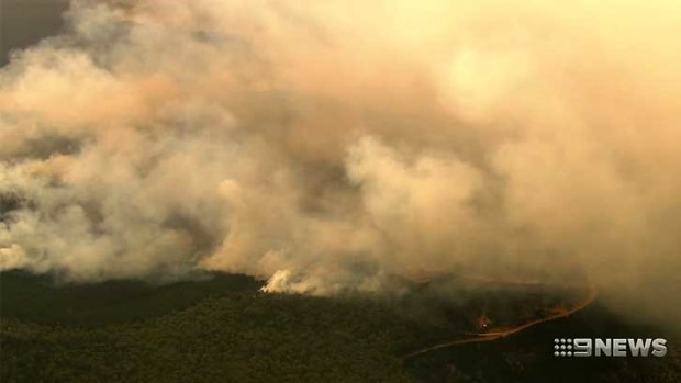 More than 2500 hectares of state forest has been lost.