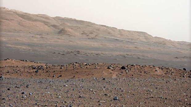 The surface of Mars is rich in sulfides, which are a major building block of stromatolites.