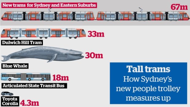 How Sydney's carriages measure up.  Graphic: Remi Bianchi