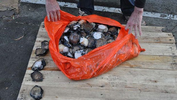 The men were picked up for possessing over 400 abalone.