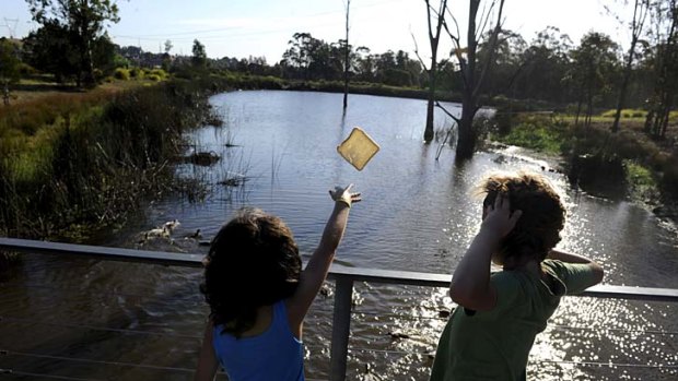 Children feed a duck at a pond at the Plough and Harrow Park, which is part of the Western Sydney Parklands.