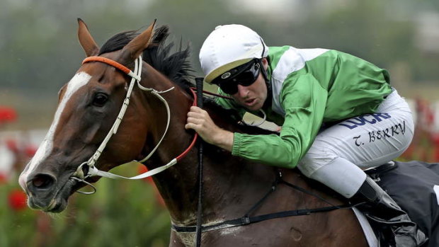 Well-related: Iresign is a half-brother to Mossfun, seen here winning at Randwick during her stellar career.