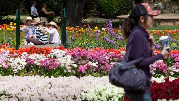 Queensland's Garden City, Toowoomba, will  feel the impact of the closure of the Weis factory. 