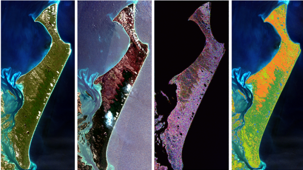 NovaSAR-1 data has helped identify the extent of fire scarring Fraser Island. (From left) optical satellite image before fire (Sentinel-2); optical satellite image post fire (Sentinel-2); combined NovaSAR-1 and Sentinel-1 SAR image; classification using SAR data. Orange indicates burnt areas.