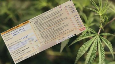 West Australian man Jim Plamondon says his success bringing medicinal cannabis to Australia under the TGA's Traveller's Exemption, opens the doors for Australians to source medicinal cannabis. overseas.