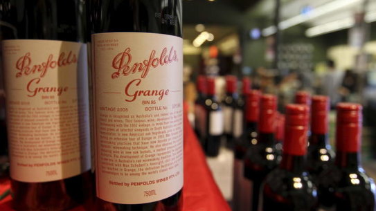 Shares in Treasury Wine, the owner of Penfolds, have plummeted on Wednesday in the wake of a profit downgrade.