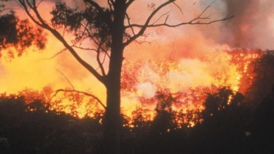 Emergency alert warns hikers to leave south-east Queensland conservation area