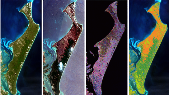 NovaSAR-1 data has helped identify the extent of fire scarring on Fraser Island. From L-R: optical satellite image before fire (Sentinel-2), optical satellite image post fire (Sentinel-2); combined NovaSAR-1 and Sentinel-1 SAR image; classification using SAR data - orange indicates burnt areas.