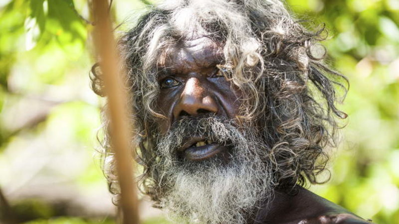 David Gulpilil Derek Rielly Biography Of Australian Actor
