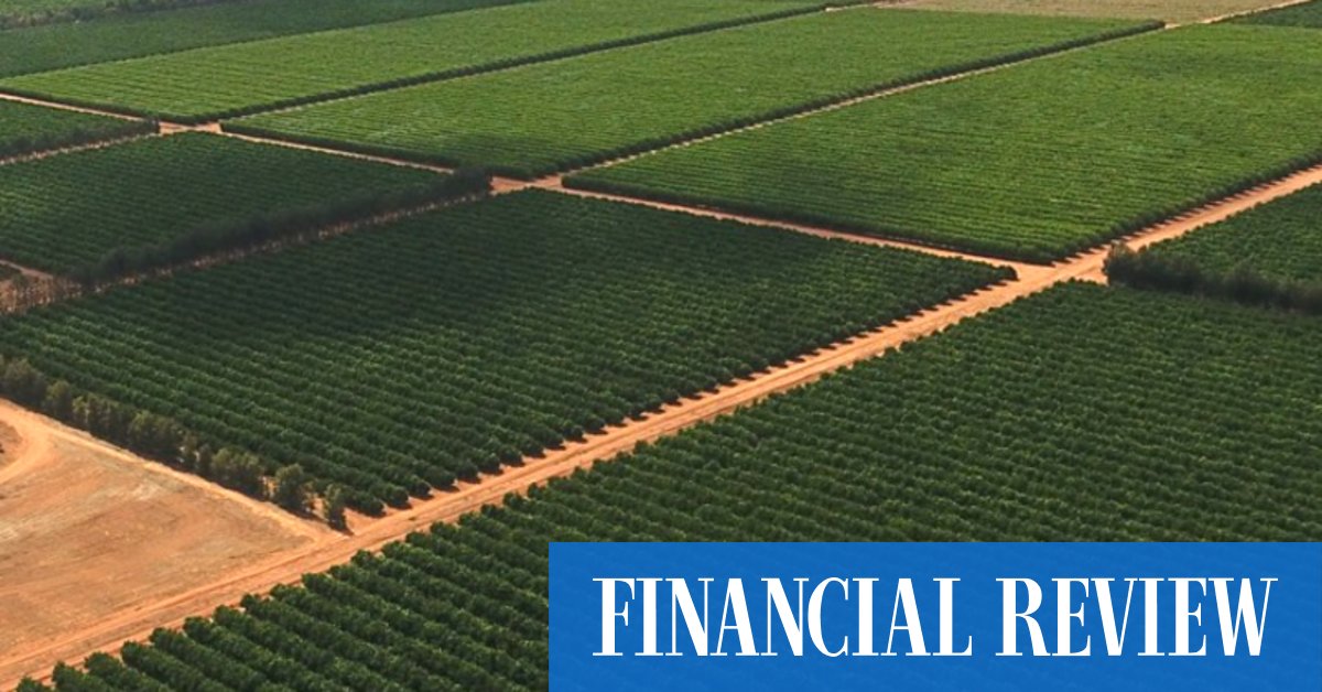 Roc wins time as Vitalharvest vote delayed to June - Vimarsana News