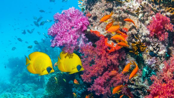 Allocating money to companies that do good for the environment can also offer better returns.