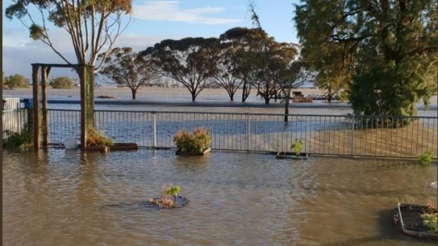 Water in Linda Goodman's front garden in Birchip on Friday morning. 