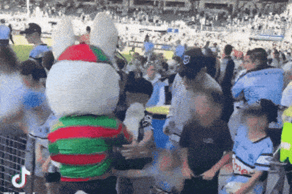 Mascot Reggie the Rabbit is accused of punching child at Sharks Stadium.