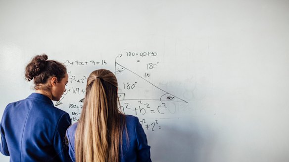 Fewer than 10 per cent of VCE students took advanced maths in 2017, a 20-year low. 