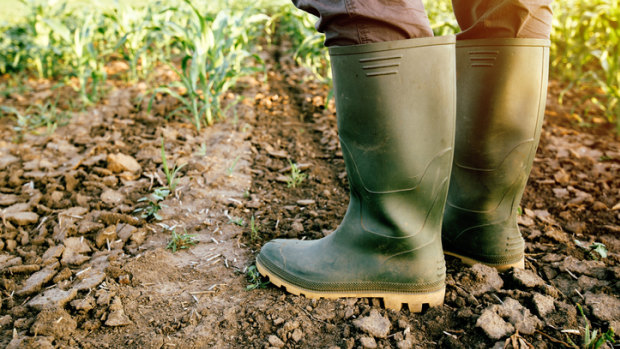 Aussie farmers are hoping for a stroke of good luck. 