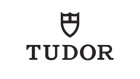 Tudor logo.