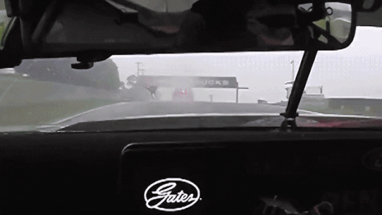 A kangaroo hops past Kai Allen’s Ford Mustang during the Bathurst 1000.