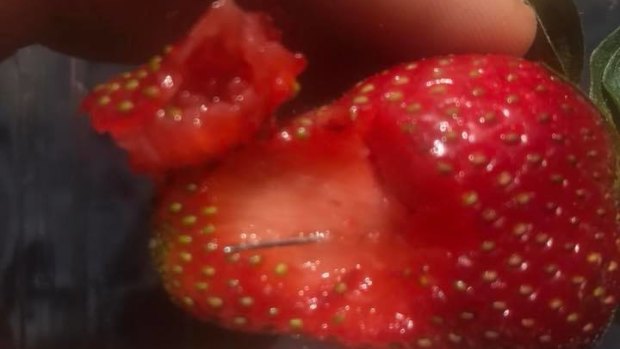 A Queensland man posted this photo of a needle in a strawberry after reporting his friend swallowed one last Sunday.