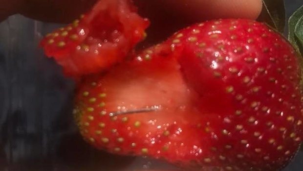 A Queensland man posted this photo of a needle in a strawberry after reporting his friend swallowed one last Sunday.