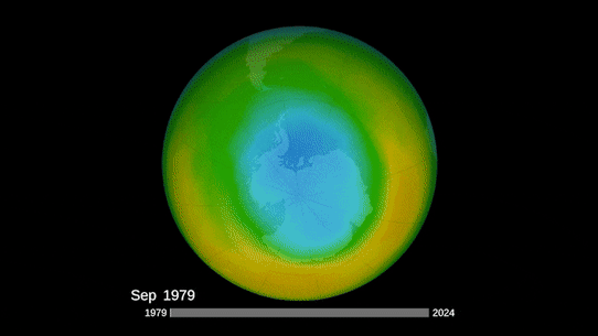 The ozone hole over Antarctica every September from 1979 to 2024.